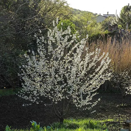 Frühstückspension Rio Farneto